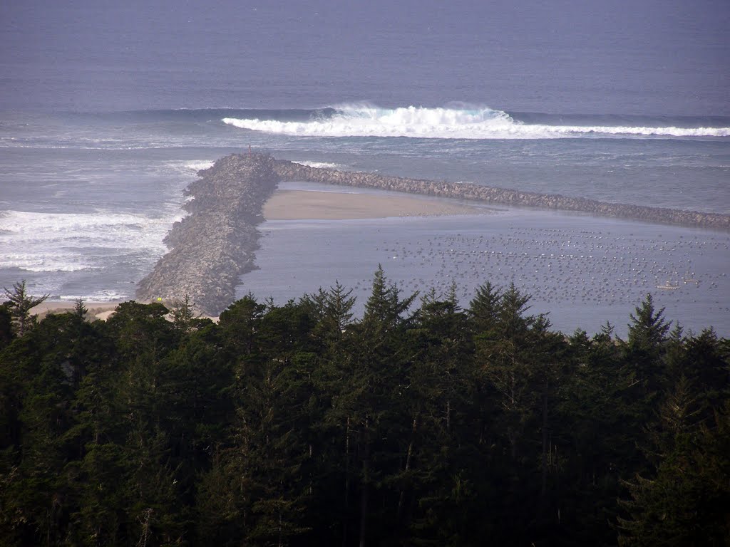 You are currently viewing Scuba Diving the Oregon Coast (Winchester Bay-Triangle)