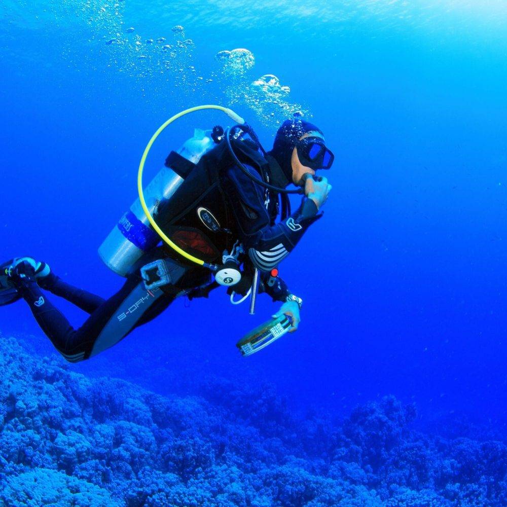 Diving in the Red Sea